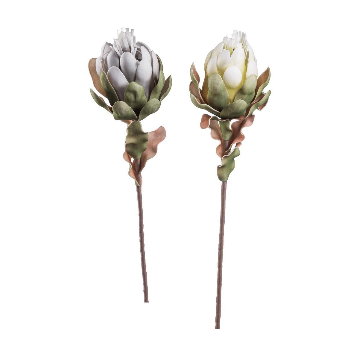 Protea prince per decorazioni 75 cm