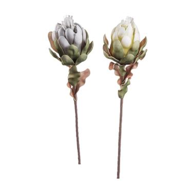 Protea prince per decorazioni 75 cm