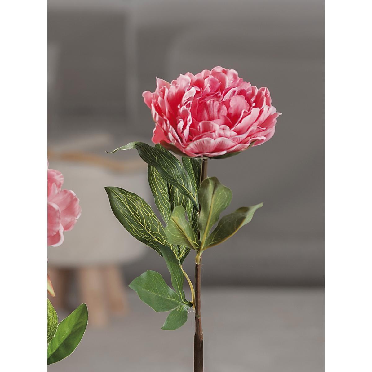 Peonia finta 68 cm