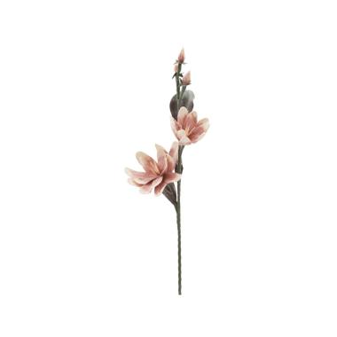 Magnolia x2 arancione cm Ø 25x98 min 12