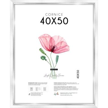 Cornice portafoto White Silver 40x50 cm Lupia