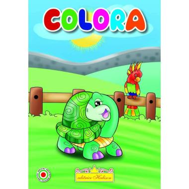 Minicolor 15x21 cm libro da colorare fattoria