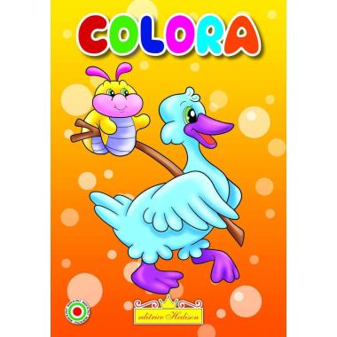 Minicolor 15x21 cm libro da colorare papera